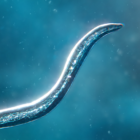Bionix – Spore & Bacteria Evolution Simulator 3D Logo