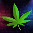 Weed Factory Idle Logo