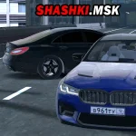 Drive World Shashki MSK Logo