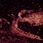 Iron Lung Logo